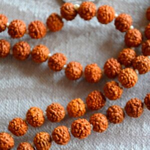 Rudraksha Mala 8 mm Necklace with 108 hand-strung beads, designed to activate the Root Chakra. Ideal for grounding and spiritual growth, suitable for all zodiac signs. Perfect for meditation and inner peace.